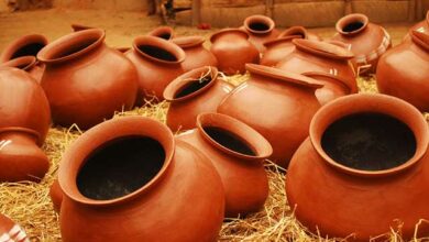 Wellhealthorganic .Com Some amazing Health benefits of drinking water from an earthen pot In 2023
