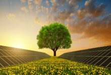 Eco-Friendly Solutions from Your Solar Company